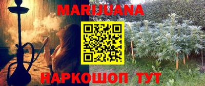 Альфа ПВП Малгобек