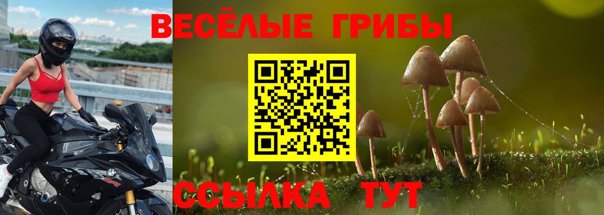 Галлюциногенные грибы Magic Shrooms  Вход с VPN  Партизанск 